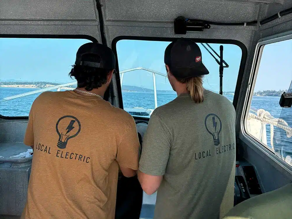 Why Choose LNS Local Electric